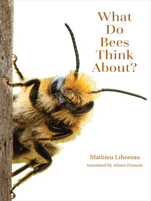 What Do Bees Think About? - ebook